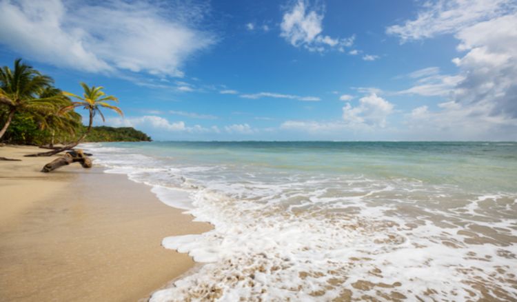  Costa Rica's Beautiful Beaches