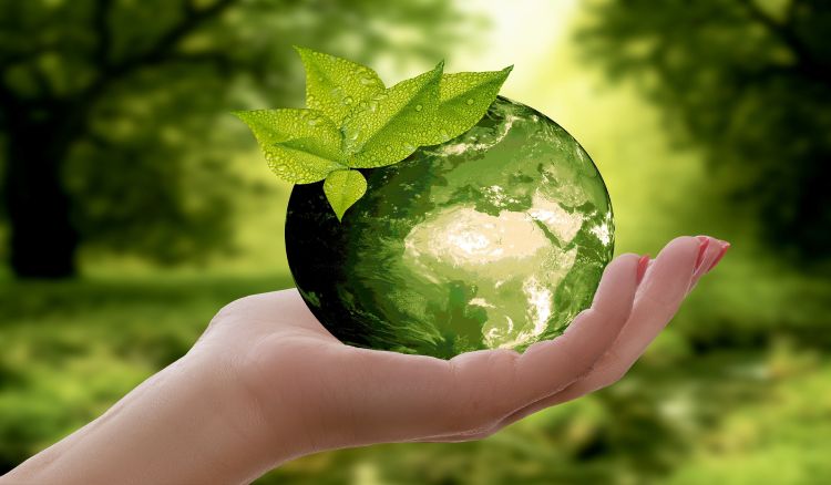  Top Tips to Reduce Your Environmental Impact